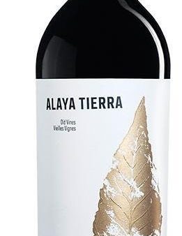 Bodegas Atalaya Alaya 2017 For Cheap