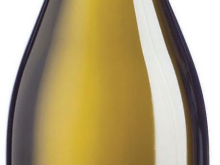 Avancia Godello Old Vines 2016 Discount