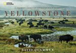 Yellowstone: A Journey Through America s Wild Heart Online