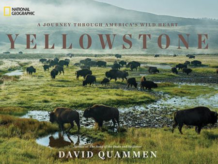 Yellowstone: A Journey Through America s Wild Heart Online