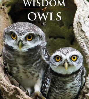 Wisdom of Owls Online