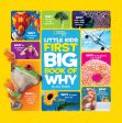 Little Kids First Big Book of Why For Cheap