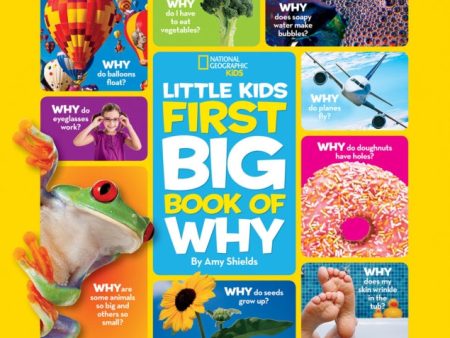 Little Kids First Big Book of Why For Cheap