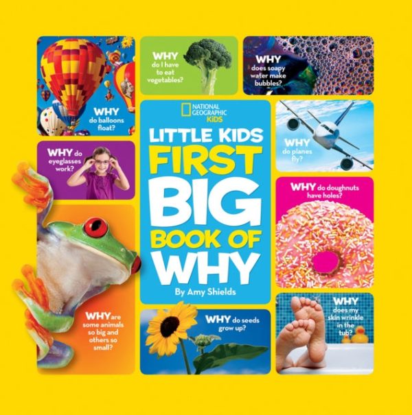 Little Kids First Big Book of Why For Cheap