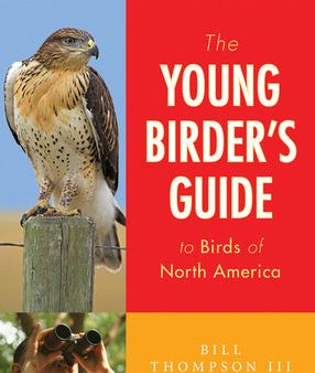 Young Birder s Guide to Birds of North America, The Online Hot Sale