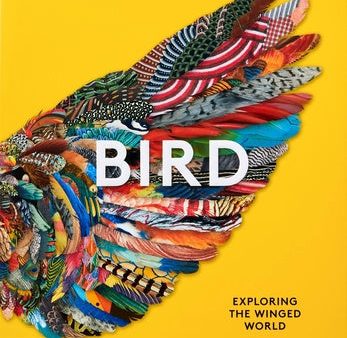 Bird: Exploring the Winged World Hot on Sale